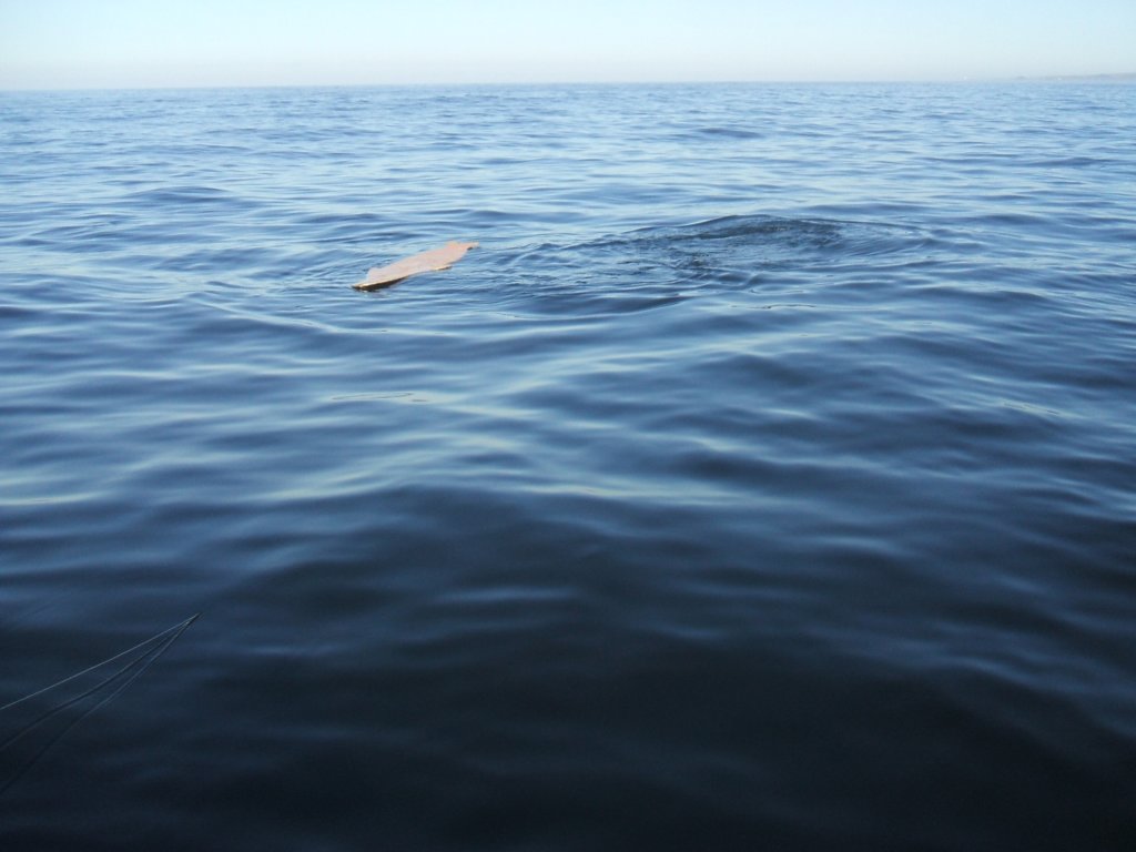 photo25.jpg