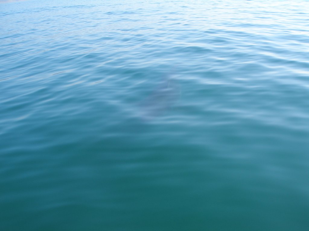 photo29.jpg