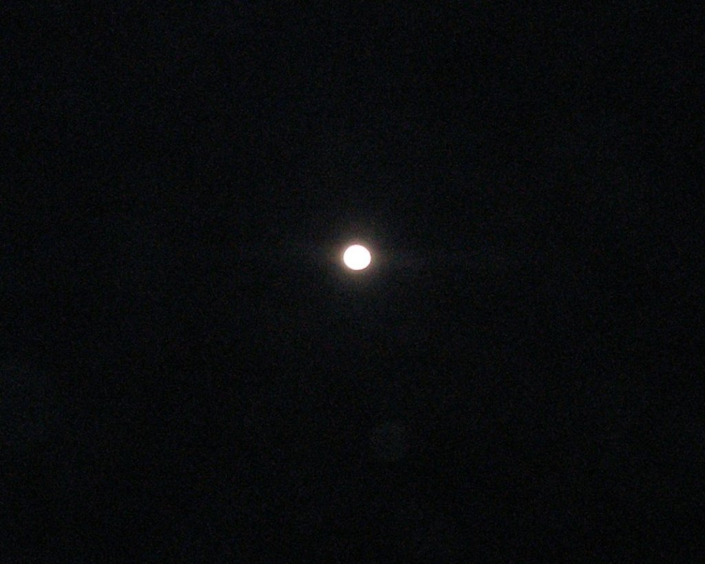 photo3.jpg