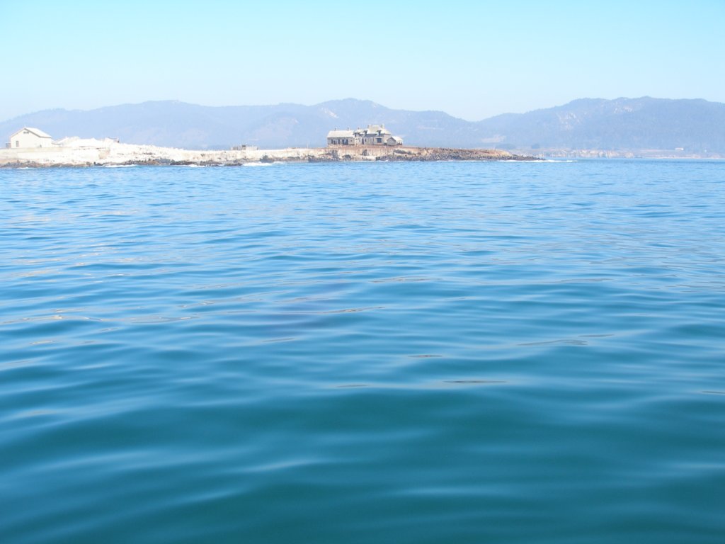 photo40.jpg
