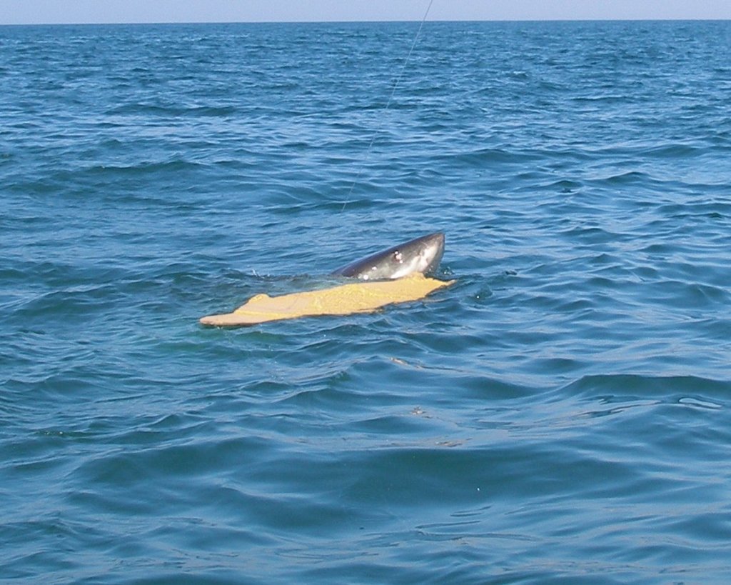 photo11.jpg