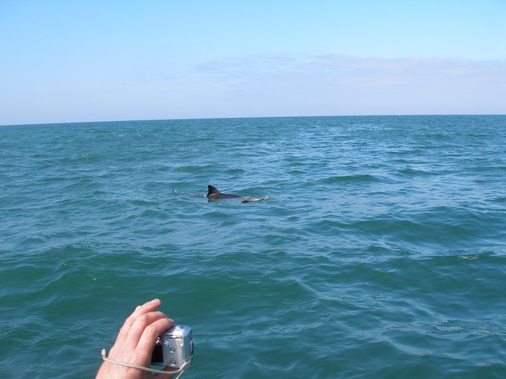 photo16.jpg