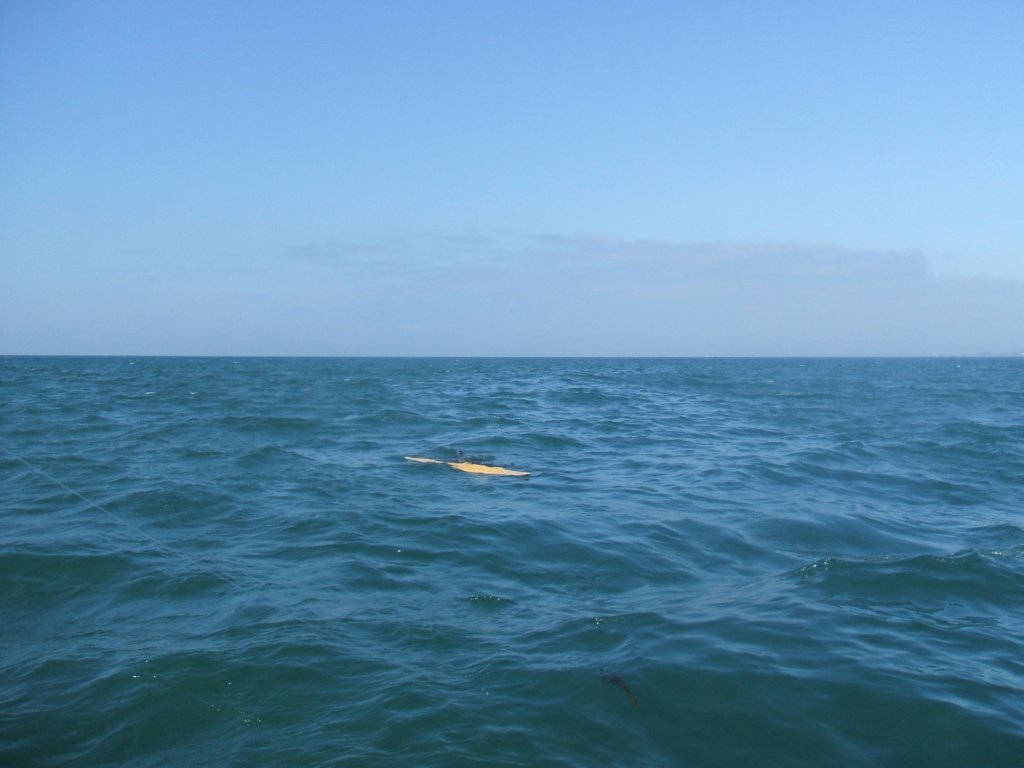 photo32.jpg