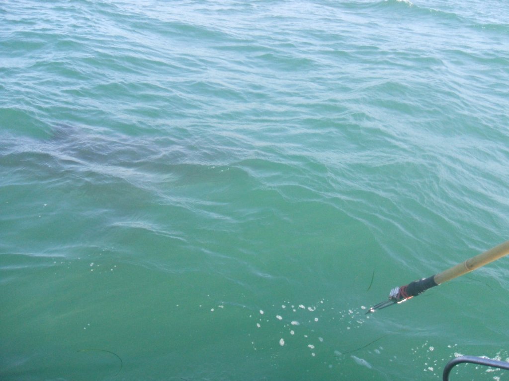 photo36.jpg