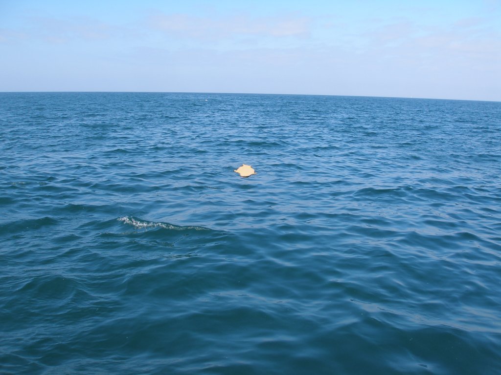 photo9.jpg