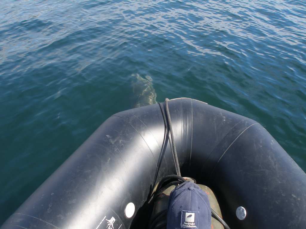photo14.jpg