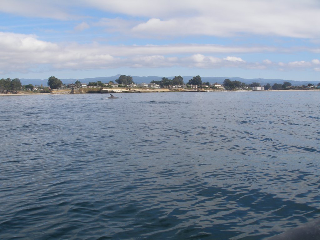 photo9.jpg