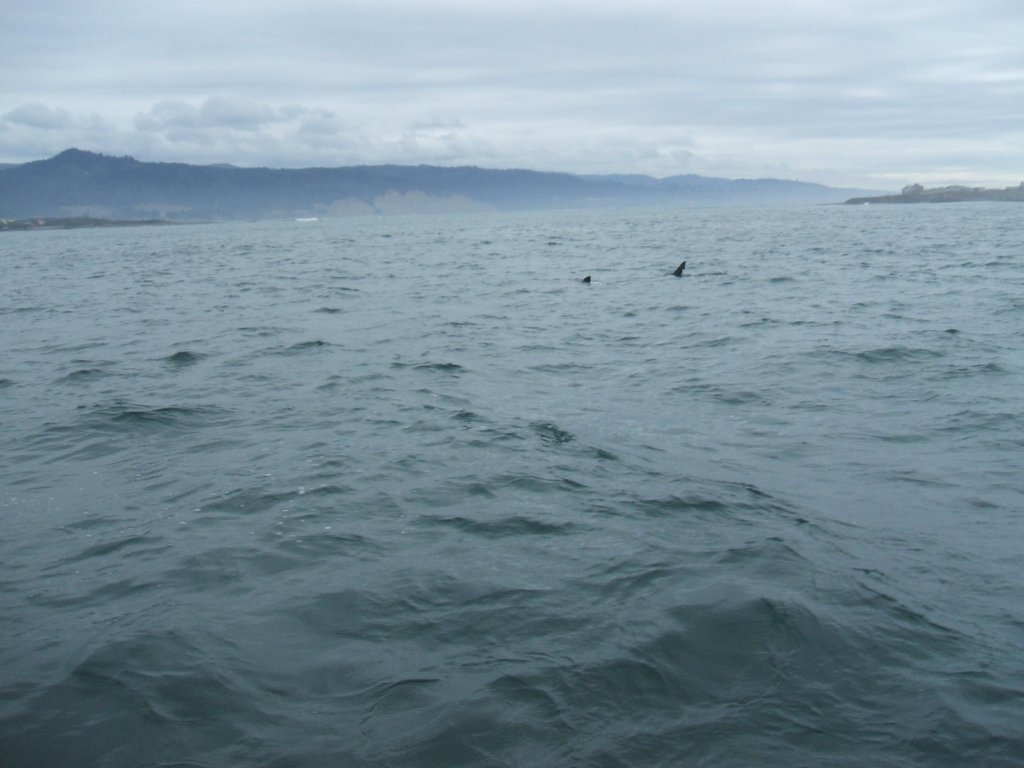 photo14.jpg
