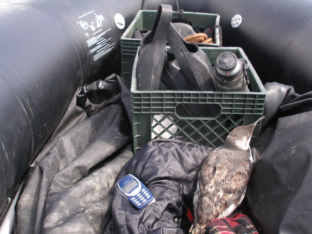 photo10.jpg
