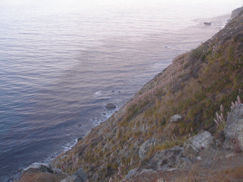 photo66.jpg