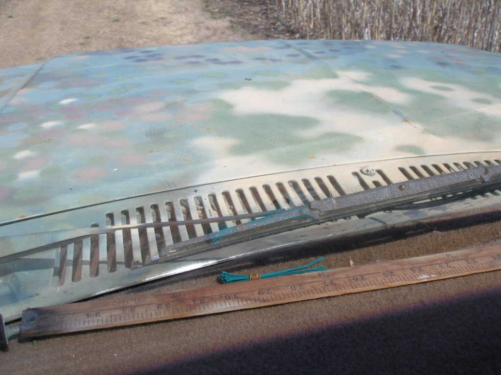 photo23.jpg