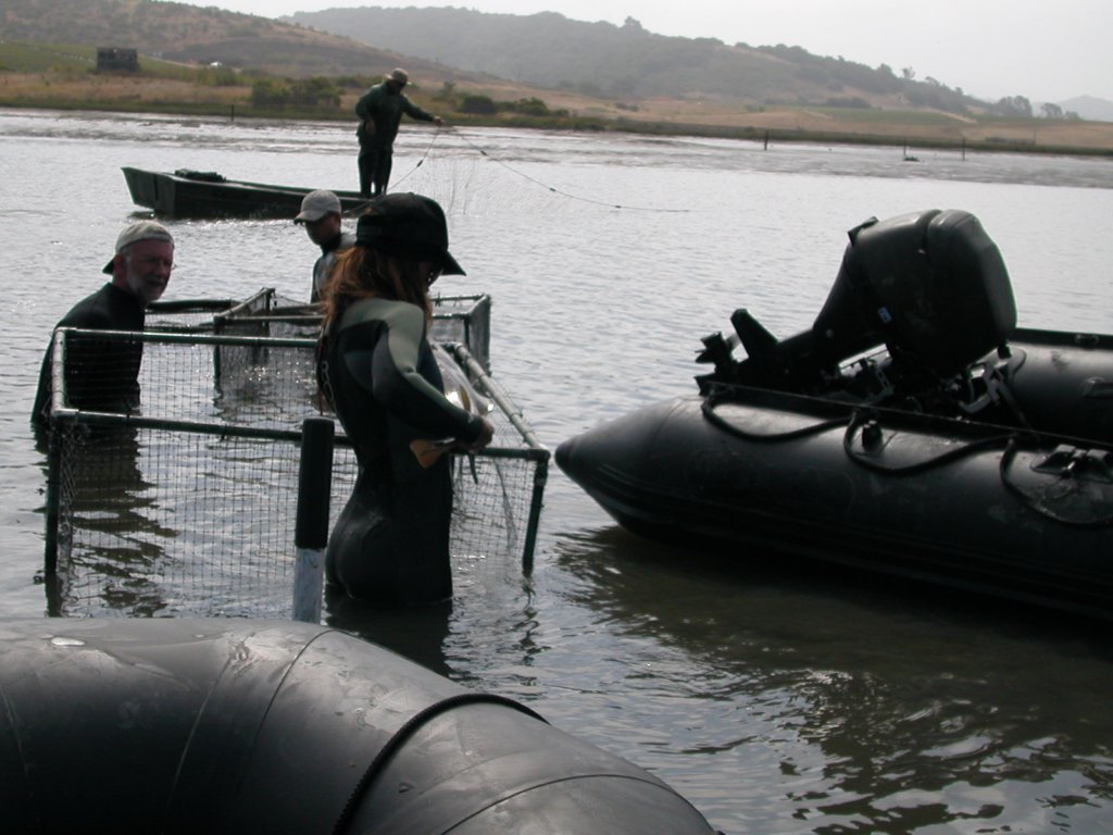 photo4.jpg