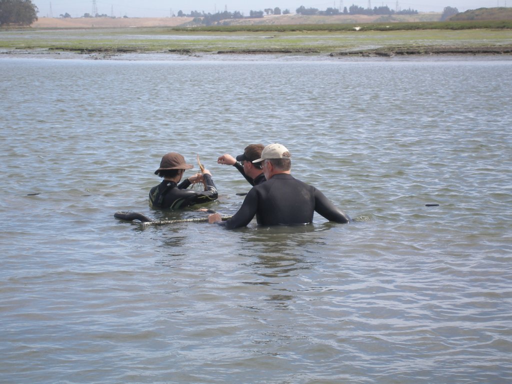 photo7.jpg