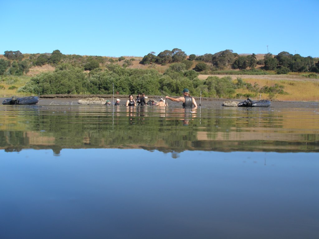 photo26.jpg