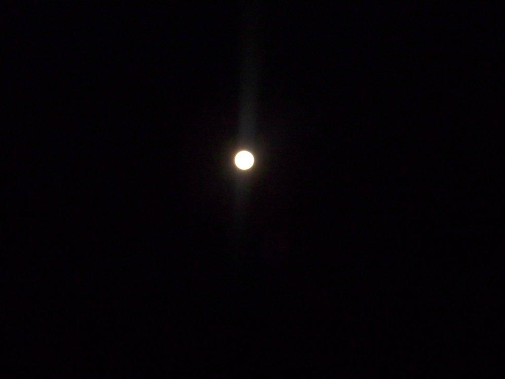 photo4.jpg