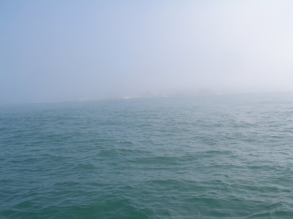 photo14.jpg