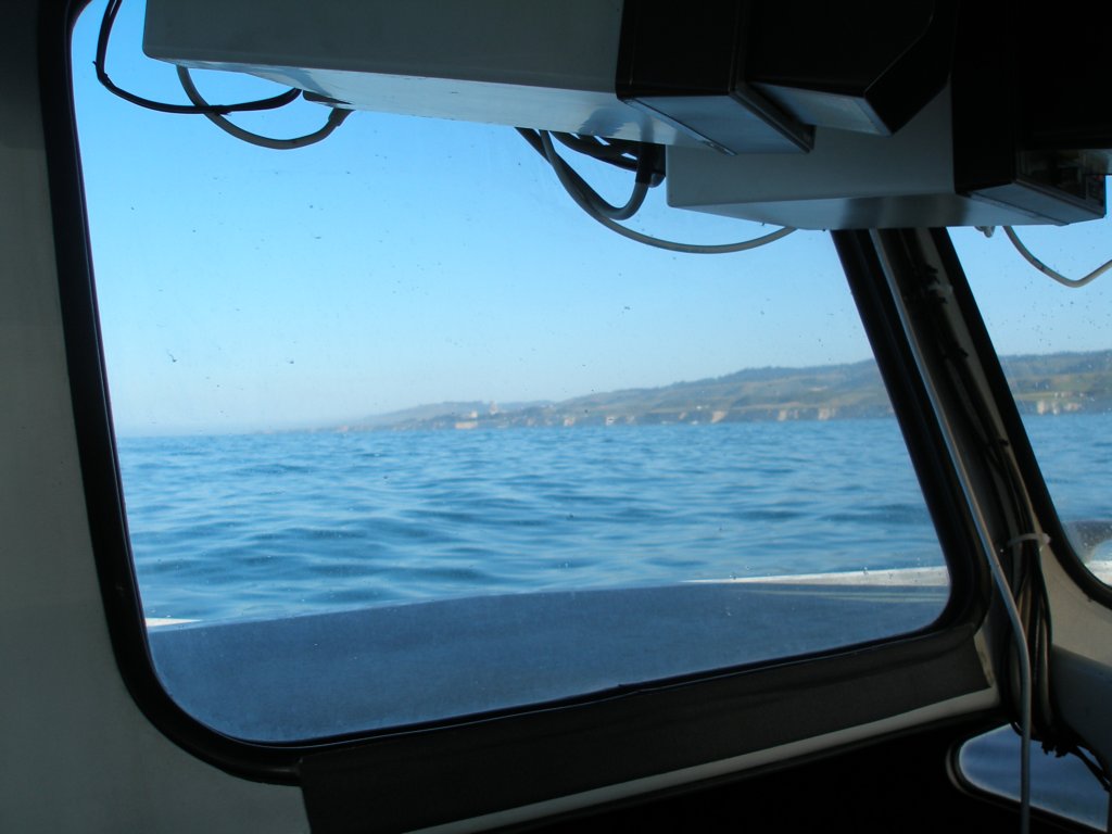 photo3.jpg