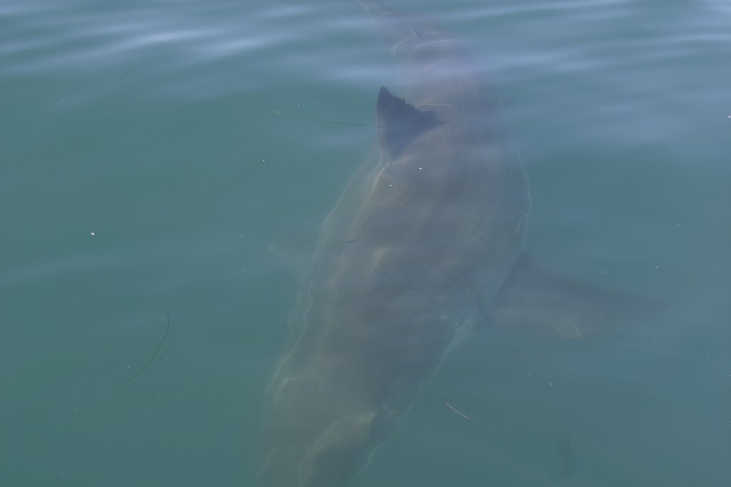 photo24.jpg