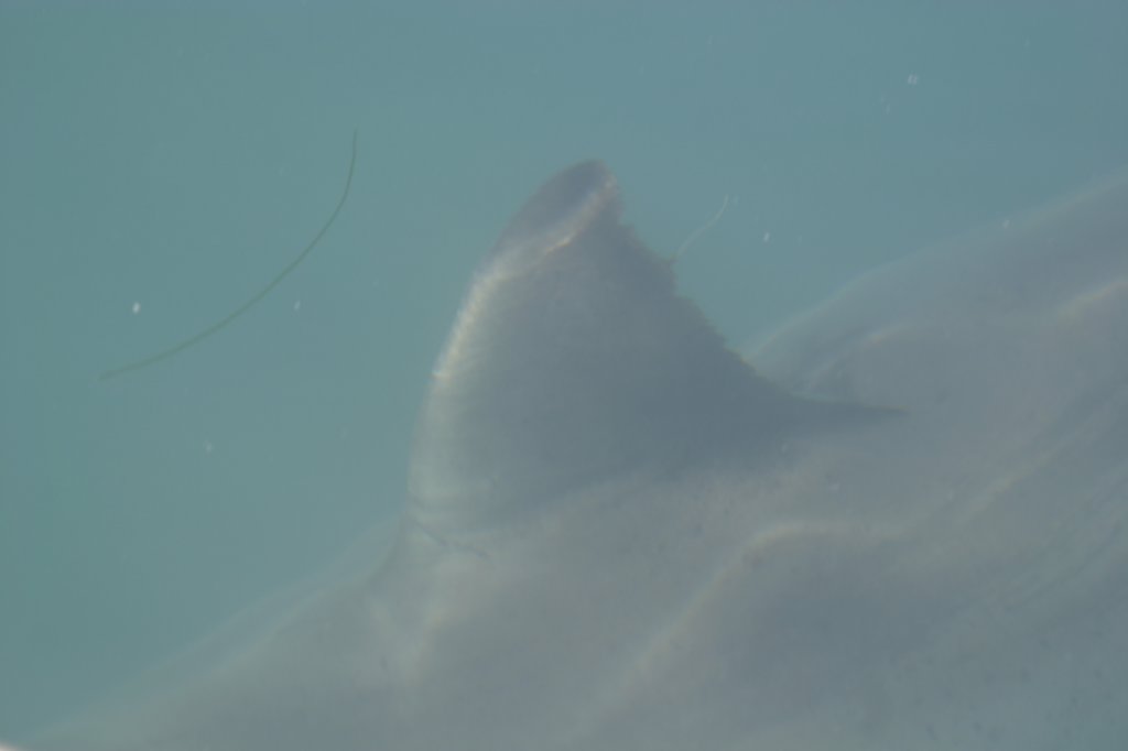 photo26.jpg