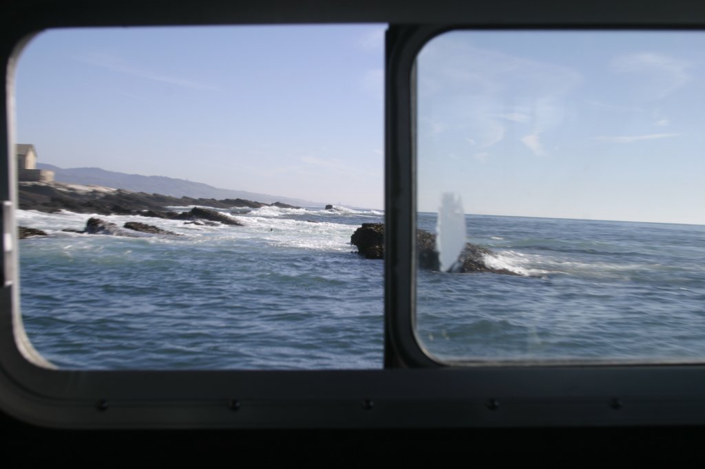 photo49.jpg