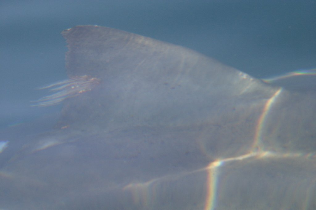 photo73.jpg