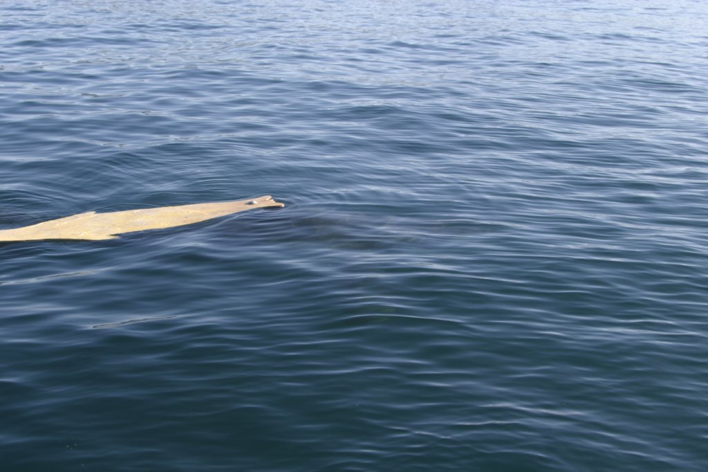photo9.jpg