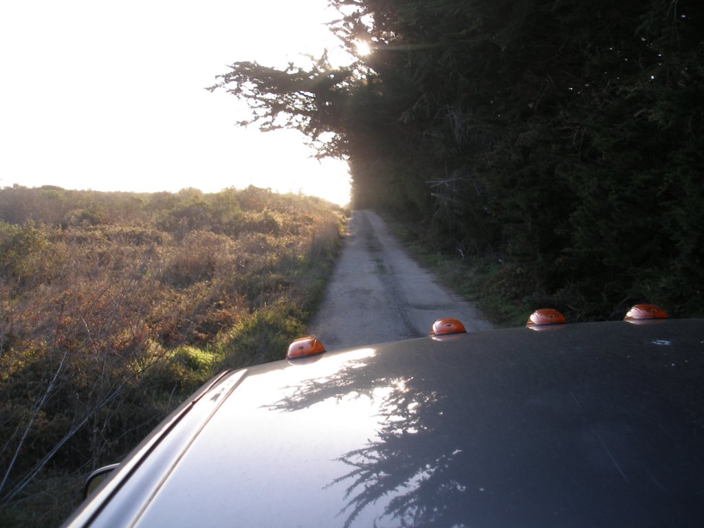 photo2.jpg