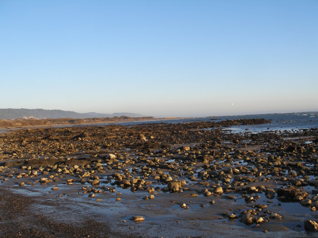 photo24.jpg