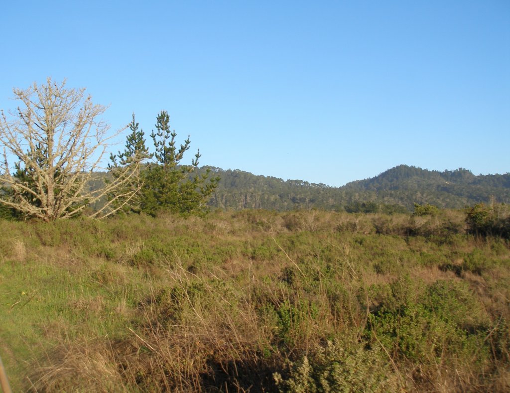 photo3.jpg