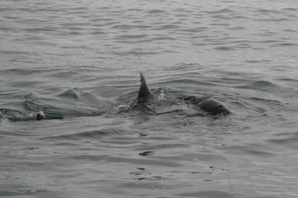 photo10.jpg