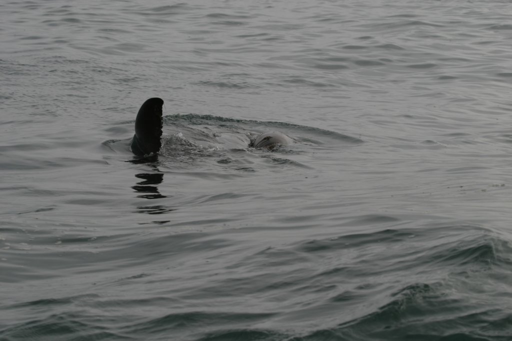photo15.jpg