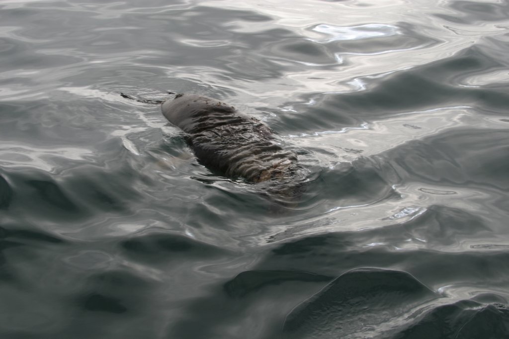 photo19.jpg