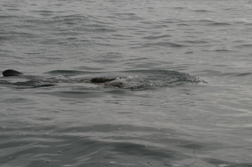 photo9.jpg