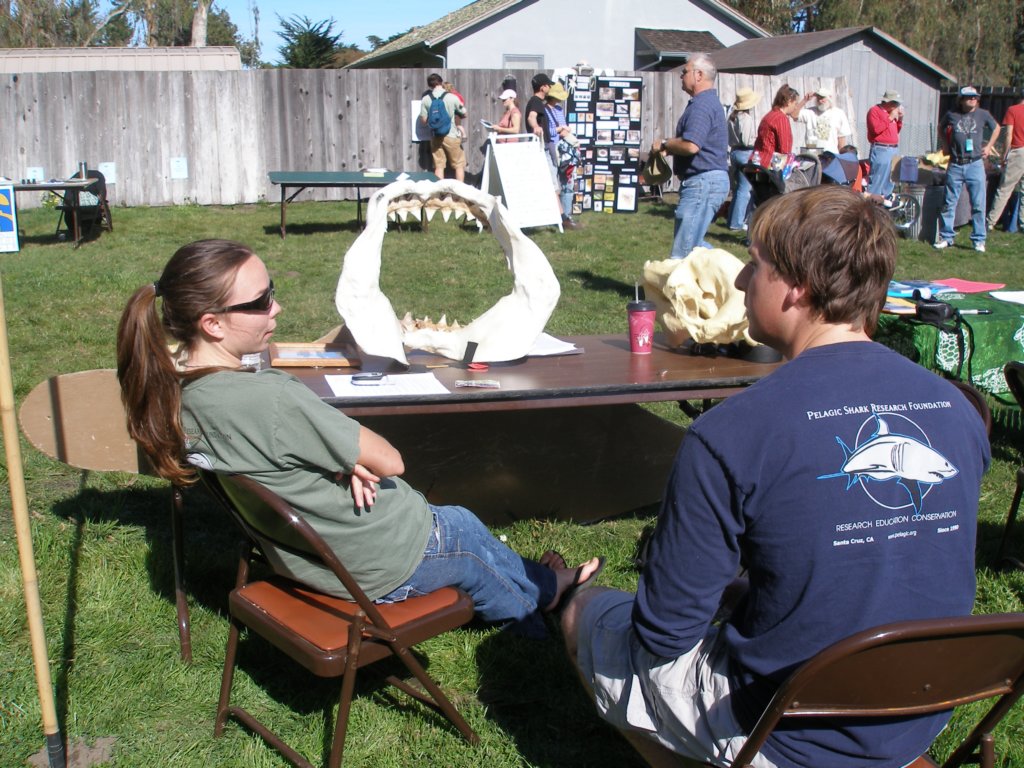 photo3.jpg