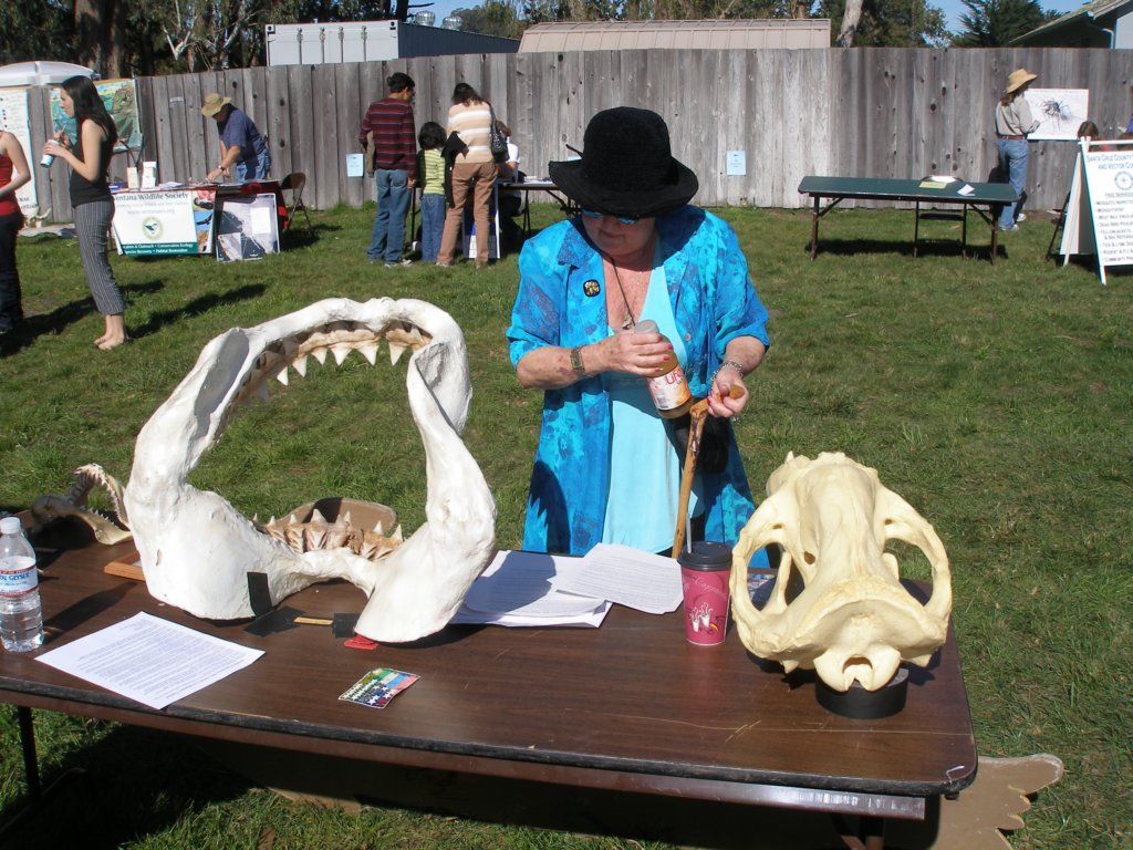 photo8.jpg