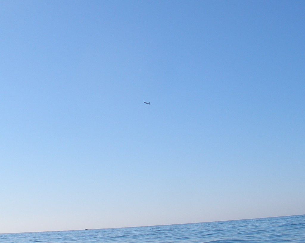 photo14.jpg