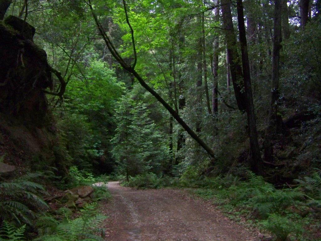 photo21.jpg