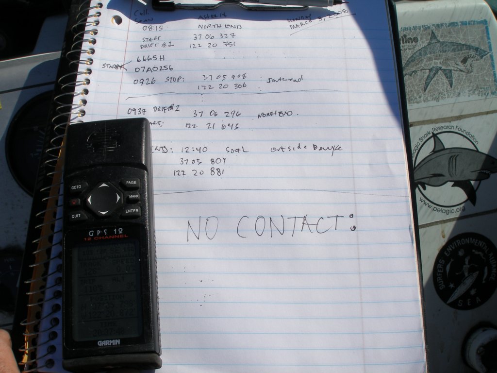 photo11.jpg