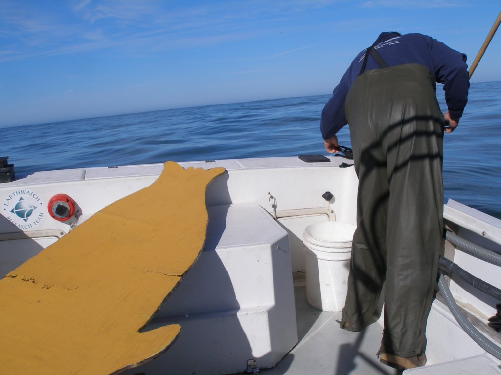 photo8.jpg