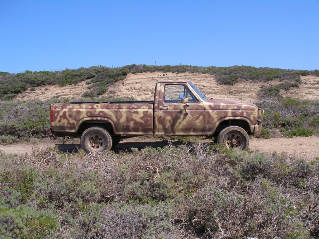 photo5.jpg
