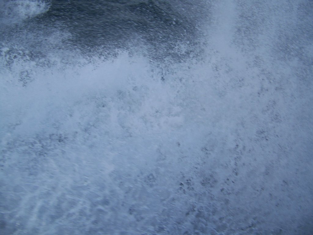 photo45.jpg
