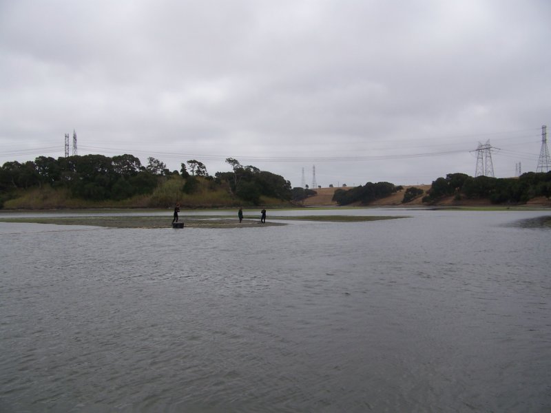 photo50.jpg