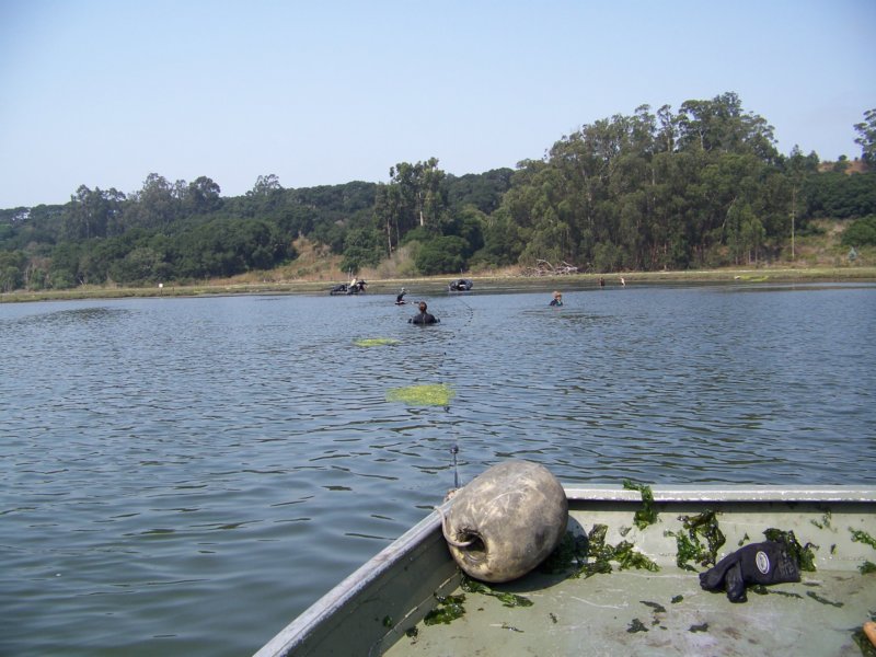 photo24.jpg
