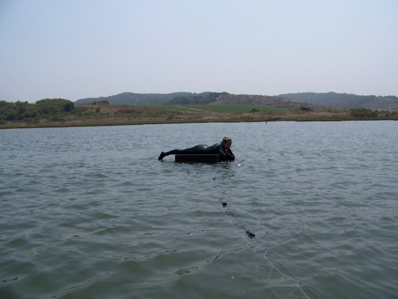 photo37.jpg