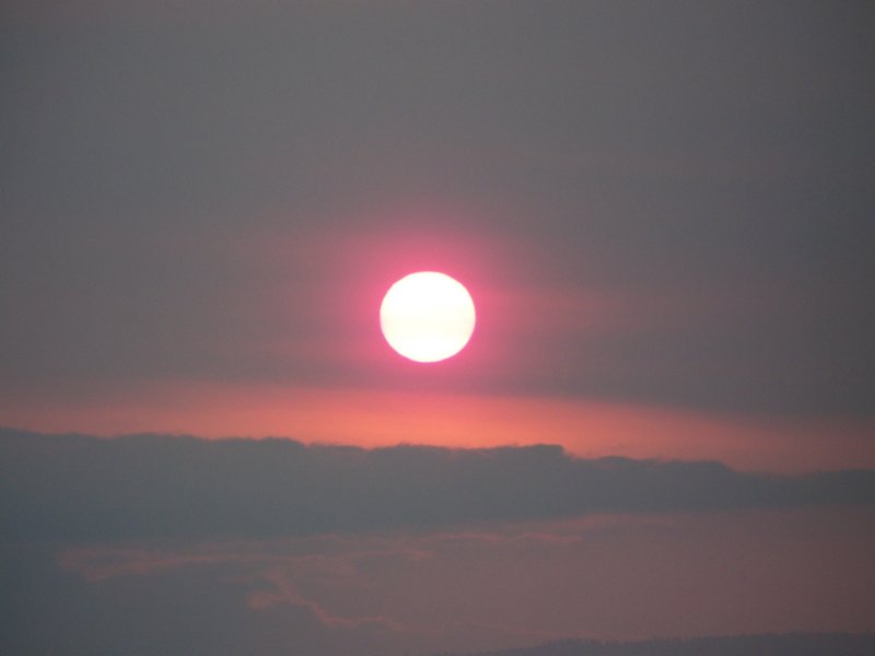 photo49.jpg