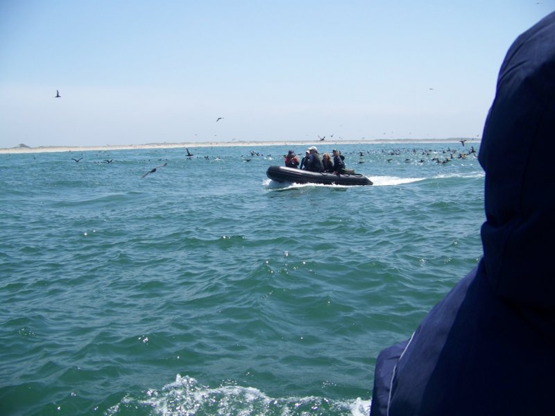 photo10.jpg