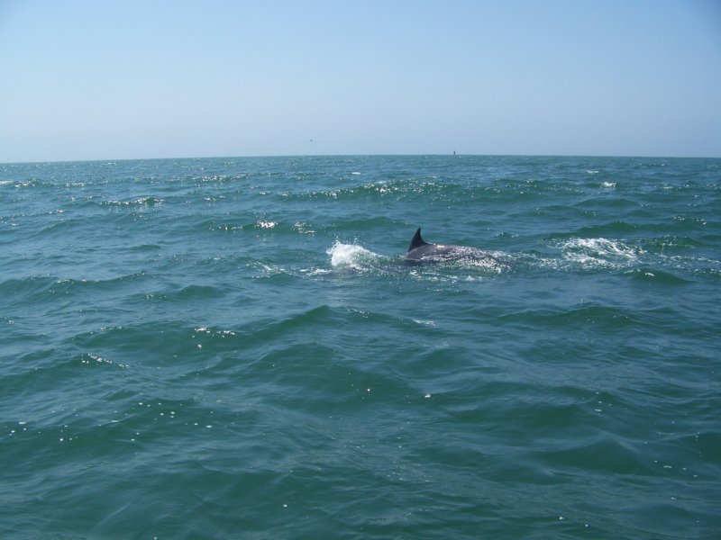 photo24.jpg