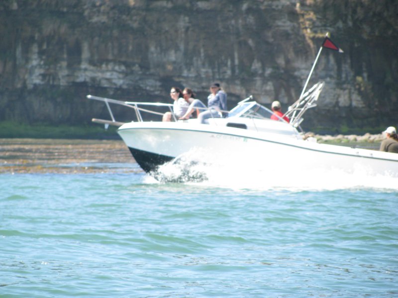 photo87.jpg