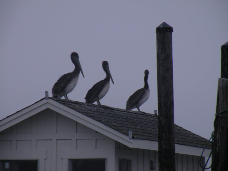 dscn1812.jpg