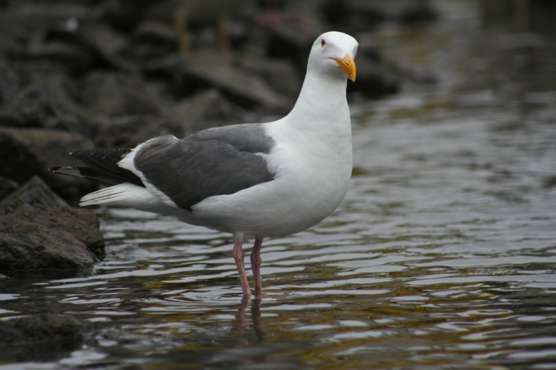 dscn1840.jpg